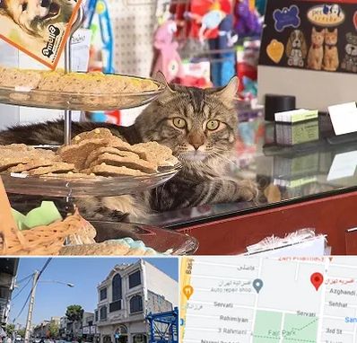 فروشگاه لوازم گربه در افسریه