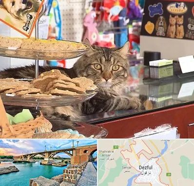 فروشگاه لوازم گربه در دزفول