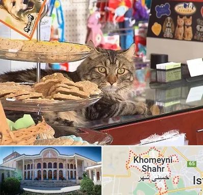 فروشگاه لوازم گربه در خمینی شهر
