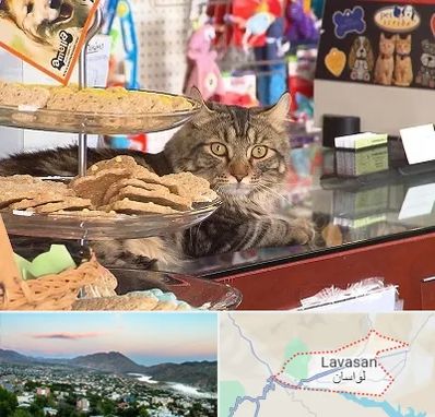 فروشگاه لوازم گربه در لواسان