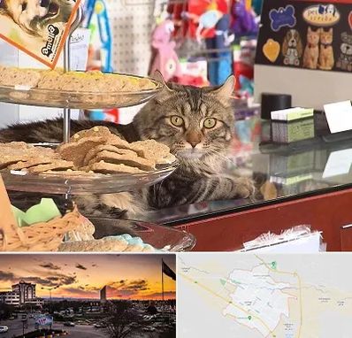 فروشگاه لوازم گربه در قوچان