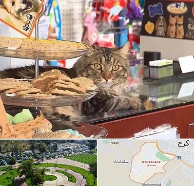 فروشگاه لوازم گربه در مهرشهر کرج