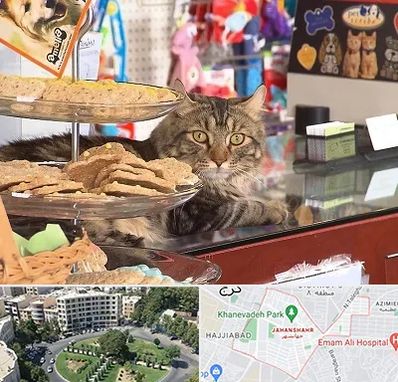 فروشگاه لوازم گربه در جهانشهر کرج