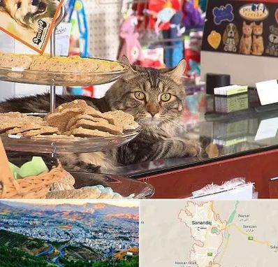 فروشگاه لوازم گربه در سنندج
