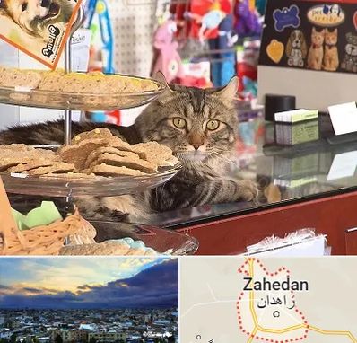 فروشگاه لوازم گربه در زاهدان