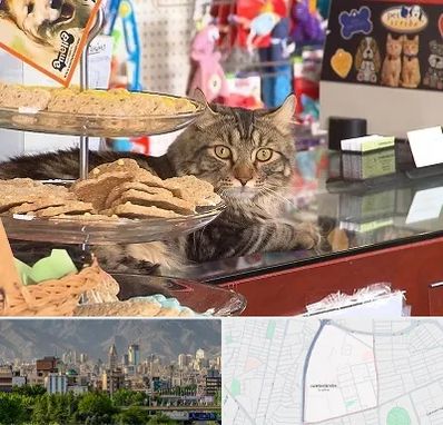 فروشگاه لوازم گربه در جمشیدیه