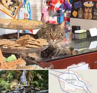 فروشگاه لوازم گربه در الیگودرز