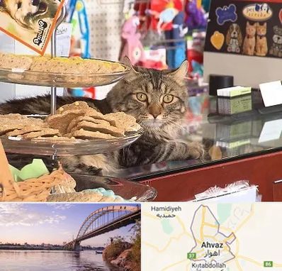 فروشگاه لوازم گربه در اهواز