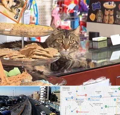 فروشگاه لوازم گربه در پیروزی