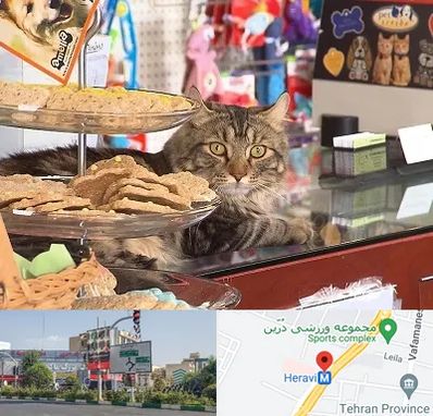 فروشگاه لوازم گربه در هروی