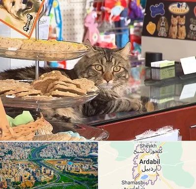 فروشگاه لوازم گربه در اردبیل