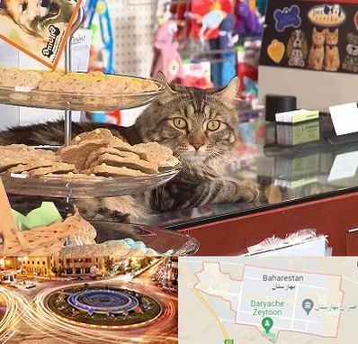 فروشگاه لوازم گربه در بهارستان