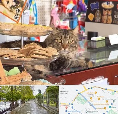 فروشگاه لوازم گربه در خیابان ارم شیراز