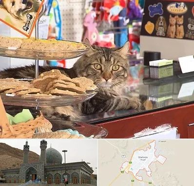 فروشگاه لوازم گربه در شهرضا