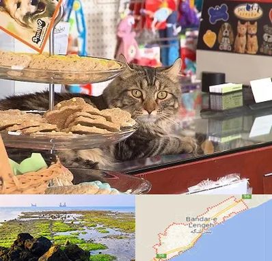 فروشگاه لوازم گربه در بندرلنگه