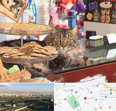 فروشگاه لوازم گربه در هنگام