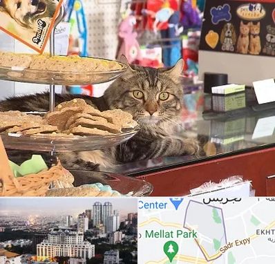 فروشگاه لوازم گربه در الهیه 