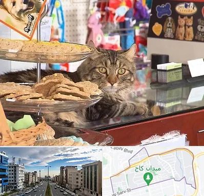 فروشگاه لوازم گربه در سعادت آباد 