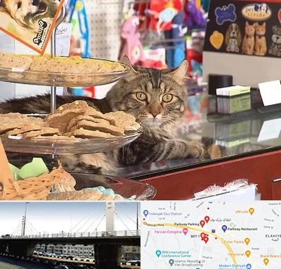 فروشگاه لوازم گربه در پارک وی