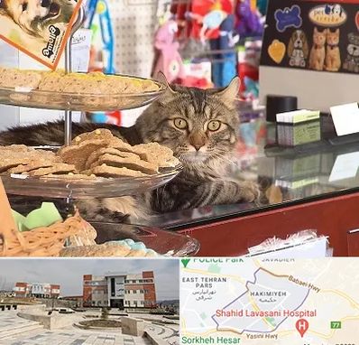 فروشگاه لوازم گربه در حکیمیه
