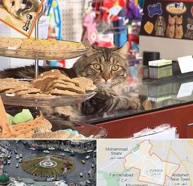 فروشگاه لوازم گربه در فردیس کرج