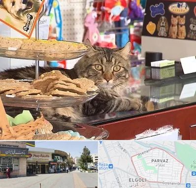 فروشگاه لوازم گربه در پرواز تبریز