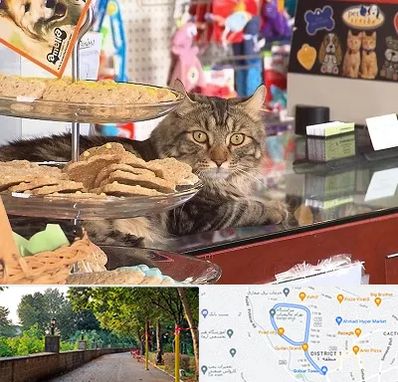 فروشگاه لوازم گربه در فلکه گاز رشت