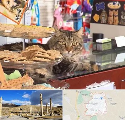 فروشگاه لوازم گربه در مرودشت