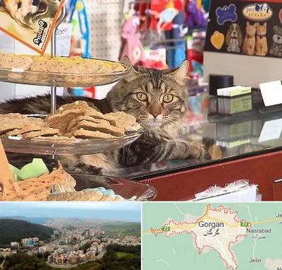 فروشگاه لوازم گربه در گرگان