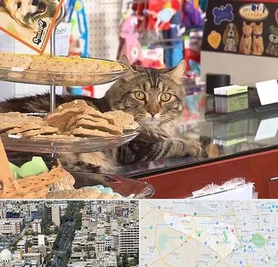 فروشگاه لوازم گربه در منطقه 18 تهران