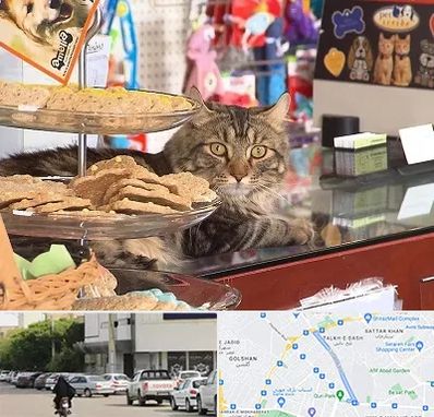 فروشگاه لوازم گربه در قدوسی شرقی شیراز