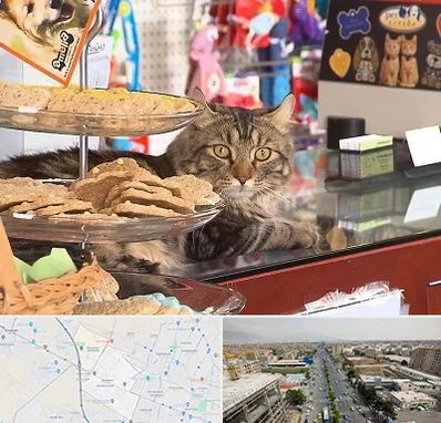 فروشگاه لوازم گربه در حصارک کرج