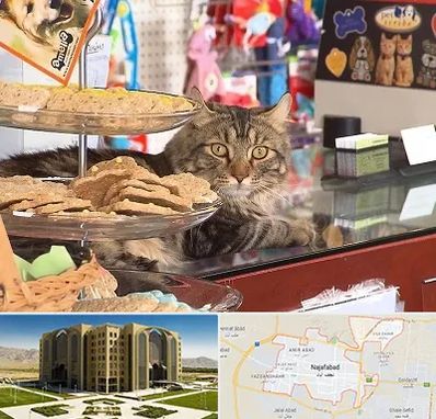 فروشگاه لوازم گربه در نجف آباد