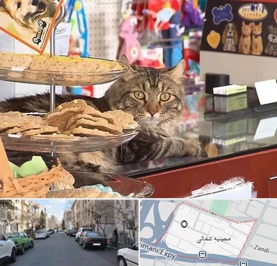 فروشگاه لوازم گربه در مجیدیه شمالی