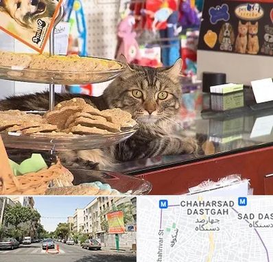 فروشگاه لوازم گربه در چهارصد دستگاه