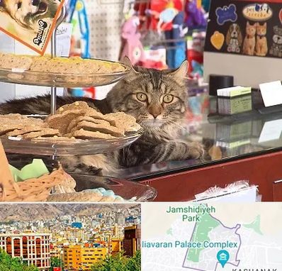 فروشگاه لوازم گربه در نیاوران 