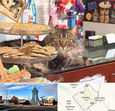 فروشگاه لوازم گربه در تایباد