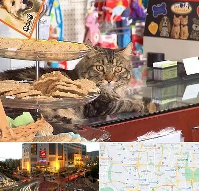 فروشگاه لوازم گربه در جنت آباد تهران 