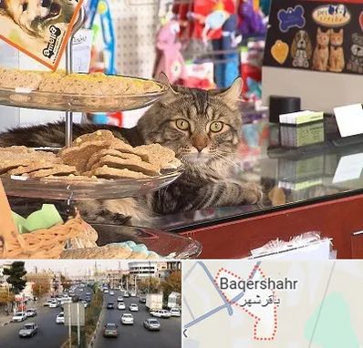 فروشگاه لوازم گربه در باقرشهر