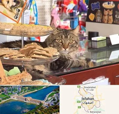 فروشگاه لوازم گربه در اصفهان