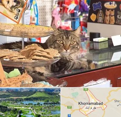 فروشگاه لوازم گربه در خرم آباد