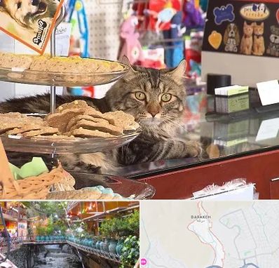 فروشگاه لوازم گربه در درکه