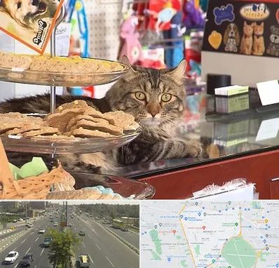 فروشگاه لوازم گربه در منطقه 17 تهران