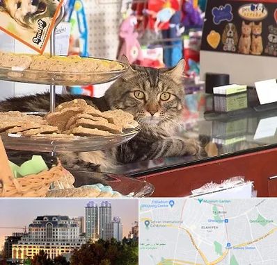 فروشگاه لوازم گربه در فرشته 