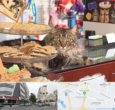 فروشگاه لوازم گربه در بلوار فردوس 