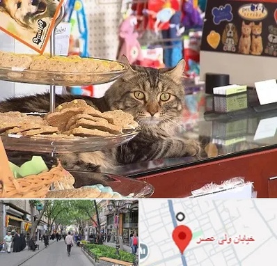فروشگاه لوازم گربه در ولیعصر شهریار