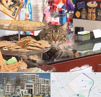 فروشگاه لوازم گربه در طلاب مشهد