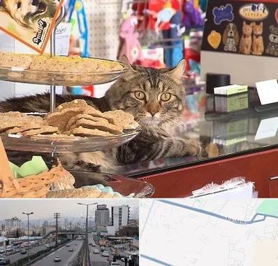 فروشگاه لوازم گربه در بلوار ارتش