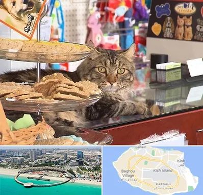 فروشگاه لوازم گربه در کیش
