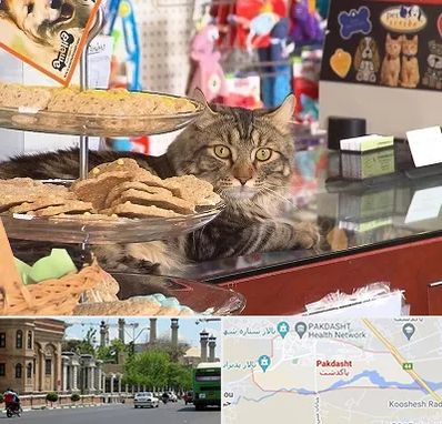 فروشگاه لوازم گربه در پاکدشت